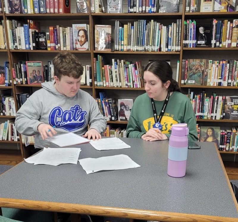 CPierce, Homework Help