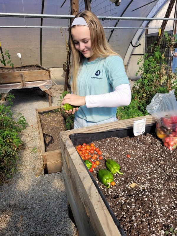 KGambrel, Greenhouse @ Henderson Settlement