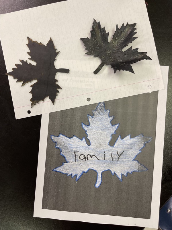 6 Students examined sample leaves and drew in preparation for sculpting